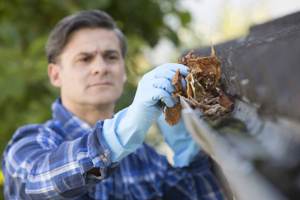 Man Clearing Leaves From Guttering Of House