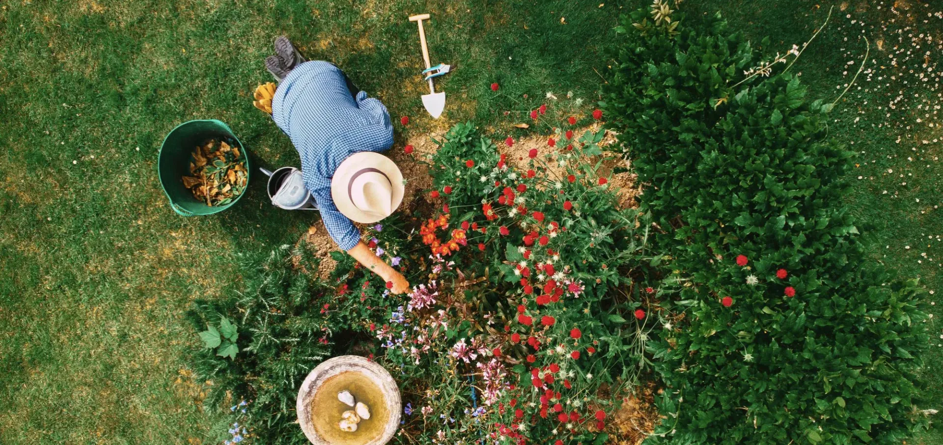 Beautify Your Outdoor Spaces for Spring